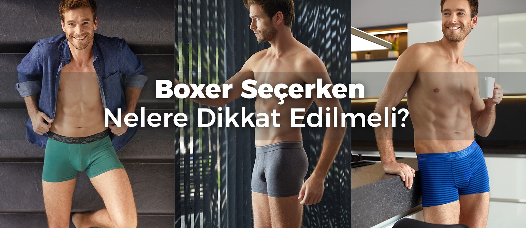 Boxer Seçerken Nelere Dikkat Edilmeli? 
