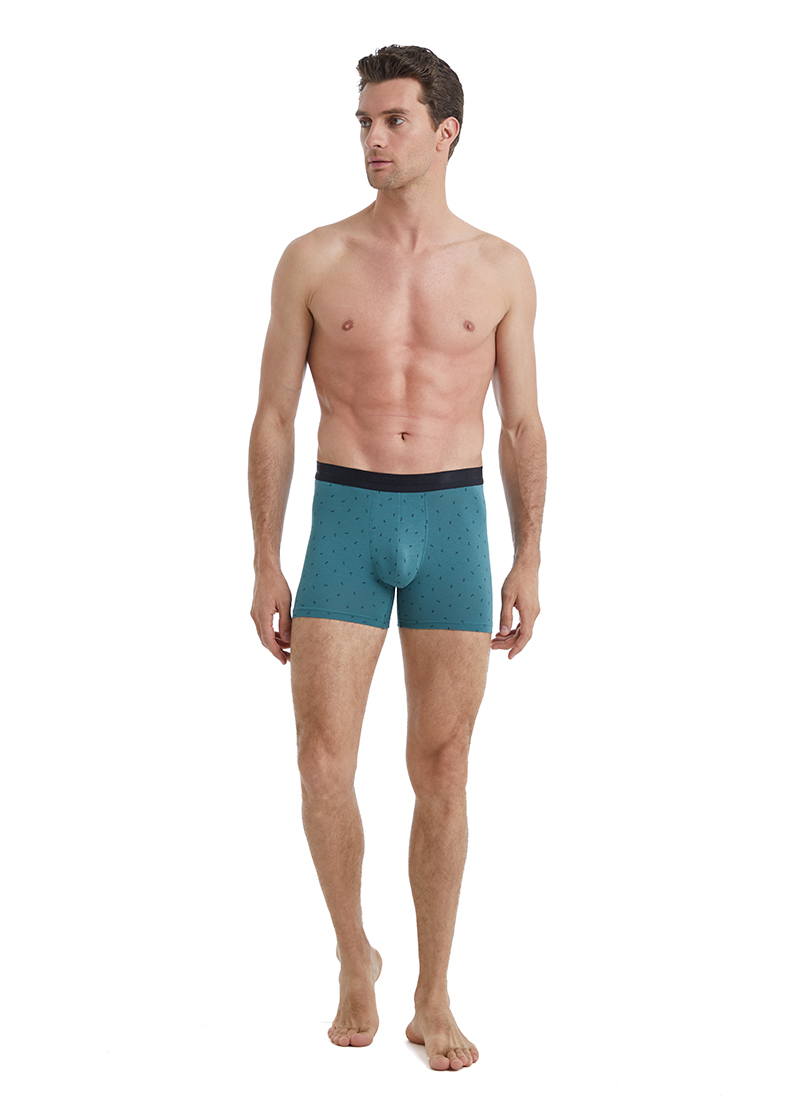 Erkek Boxer 40540 - Yeşil - 4