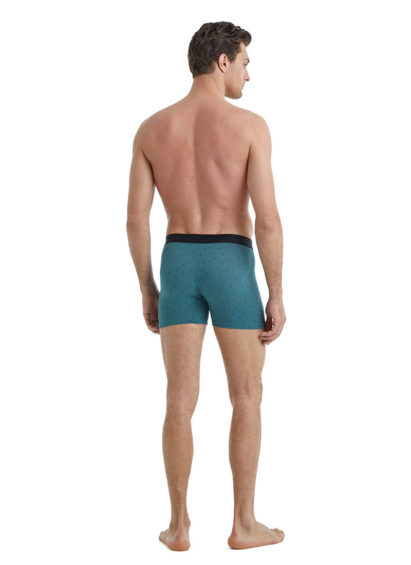 Erkek Boxer 40540 - Yeşil - 5