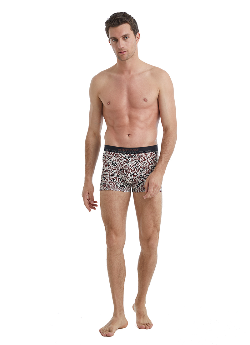 Erkek Boxer 40544 - Kahverengi - 2