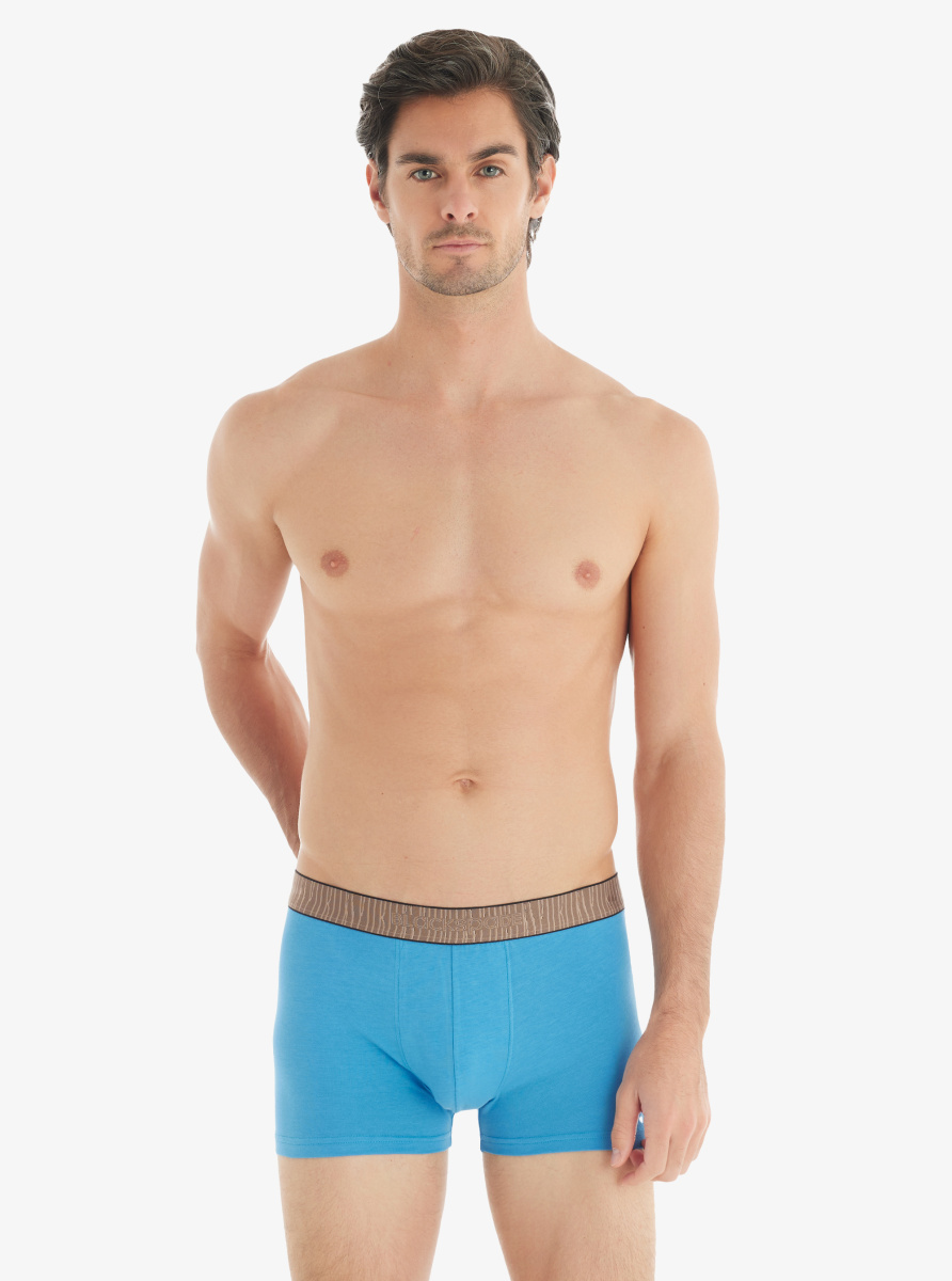 Erkek Boxer 40767 - Mavi - Blackspade