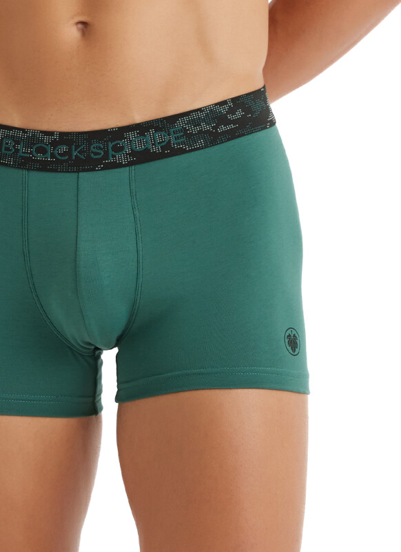 Erkek Pamuk Elastan Boxer 9555 - Yeşil - 3
