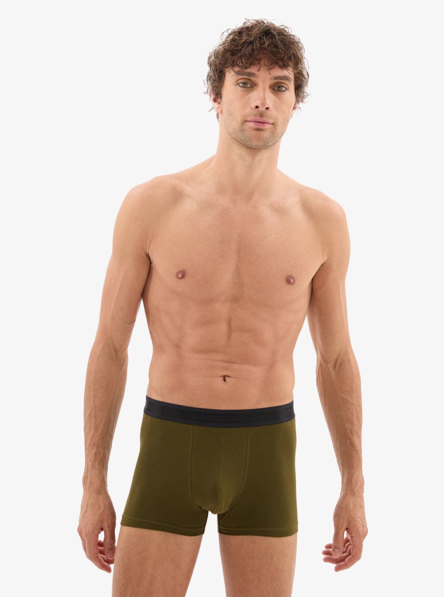 Erkek Pamuk Elastan Boxer 40863 - Yeşil - Blackspade