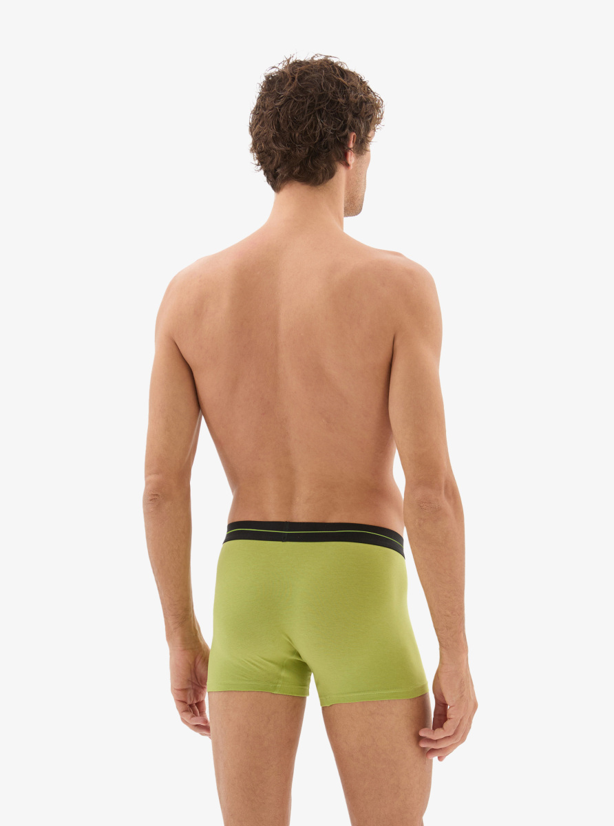 Erkek Pamuk Elastan Boxer 40865 - Yeşil - Blackspade (1)