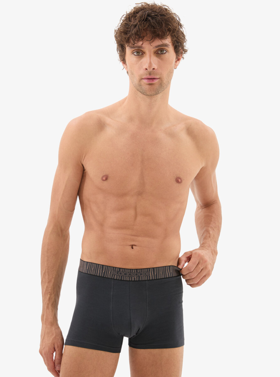 Erkek Pamuk Elastan Boxer 40866 - Antrasit - Blackspade