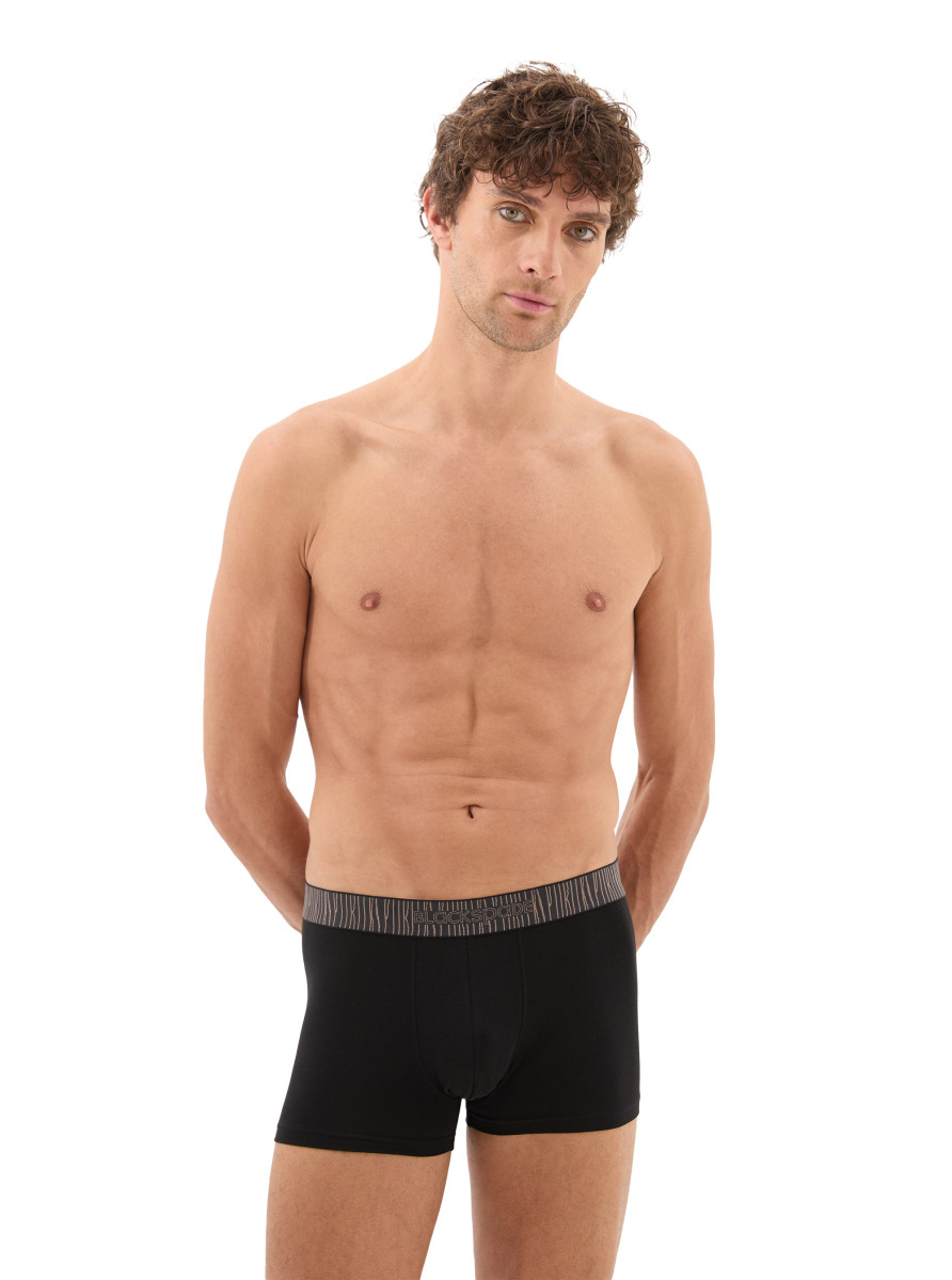 Erkek Pamuk Elastan Boxer 40866 - Siyah - Blackspade