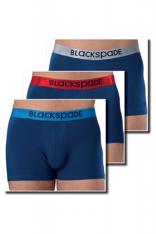 Erkek Boxer 3'lü Paket Modern Basics 9470 - Mavi - 4
